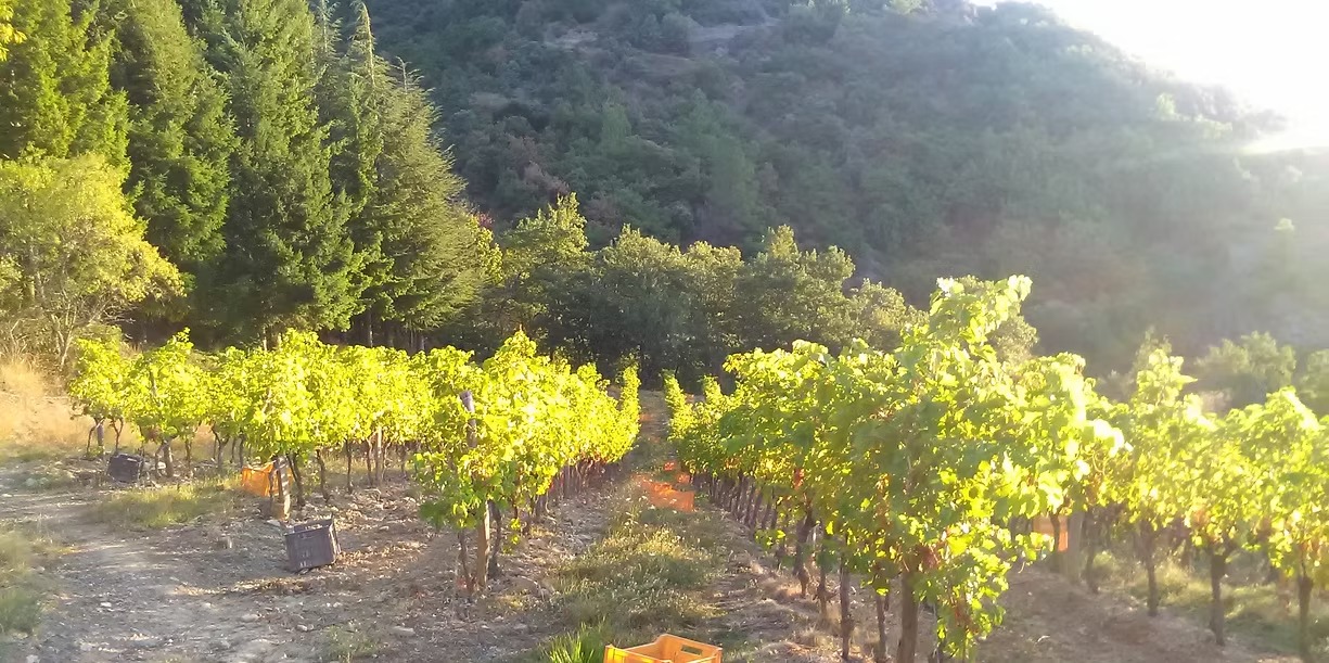 imgi_4_879b0e_921964aeddbb44dc8338d57a4fc7539b~mv2