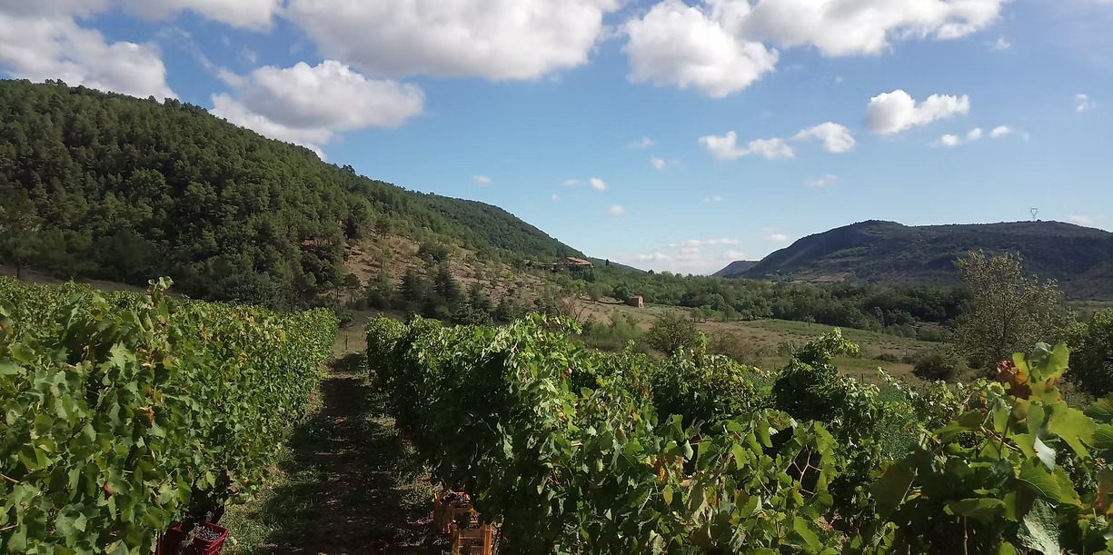 imgi_5_879b0e_77409c74191441b3afddace33a97ee8d~mv2