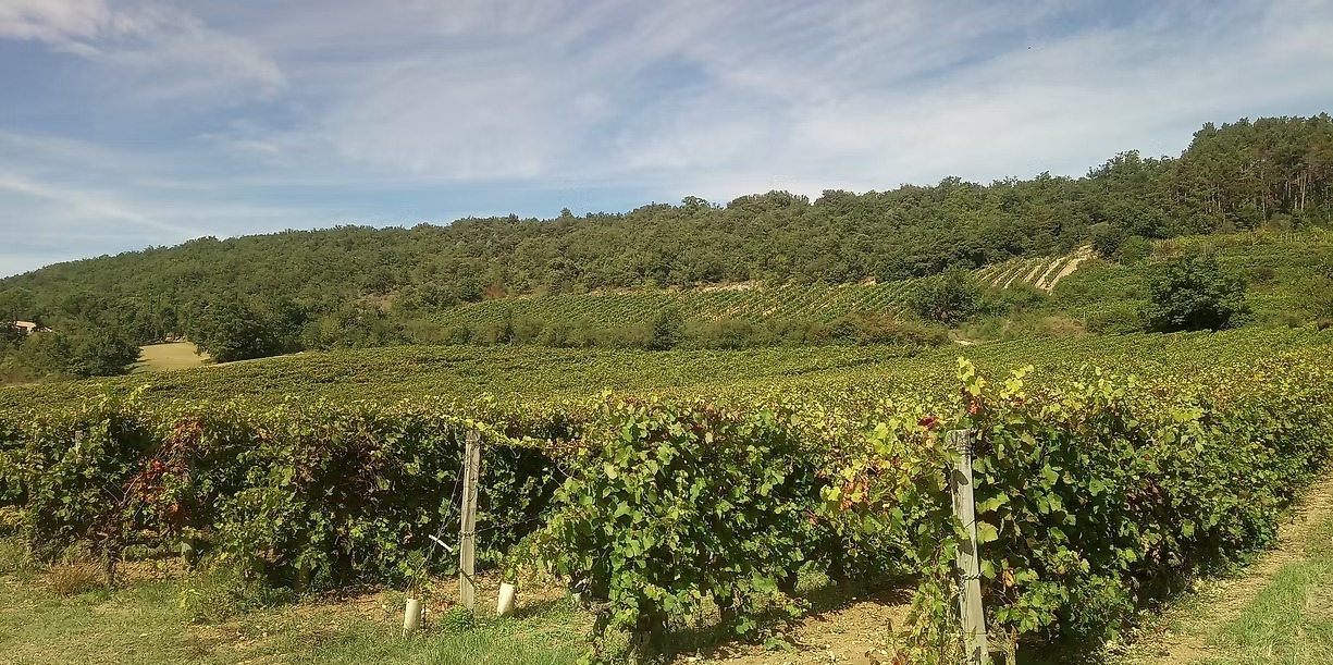 imgi_6_879b0e_34857338d96646bd91f22bfbff28a28e~mv2